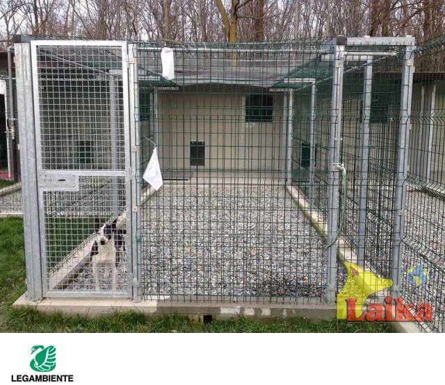 Box Singolo Per Cani - (Recinto Per Cane + cuccia venduta a parte